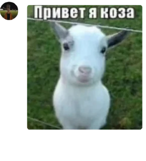 🤗 emoji ауф, галЯЯЯнка! кликфэм: полянка Telegram sticker 15 of 87