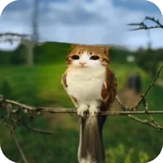 🤲 emoji ауф, галЯЯЯнка! кликфэм: полянка Telegram sticker 2 of 73