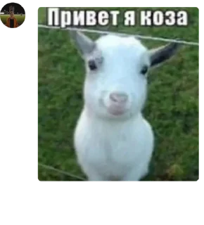 🤗 emoji ауф, галЯЯЯнка! кликфэм: полянка Telegram sticker 15 of 73