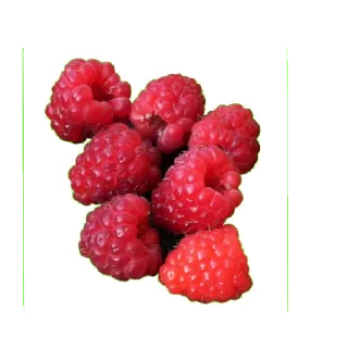 🍇 emoji Еда Telegram sticker 17 of 47