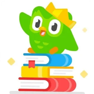 Sticker from duolingo 💚💚