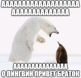 🌟 emoji Круть Telegram sticker 7 of 60