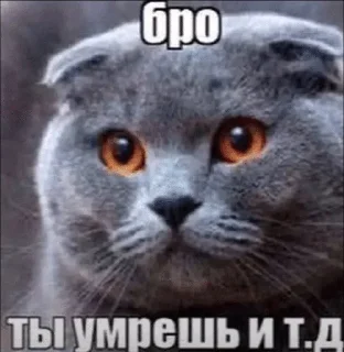 🌟 emoji Круть Telegram sticker 2 of 60