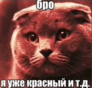 🌟 emoji Круть Telegram sticker 15 of 60