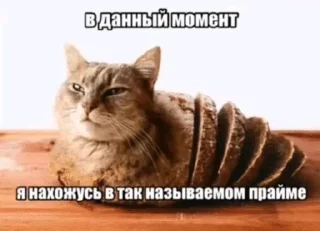 🌟 emoji Круть Telegram sticker 6 of 60