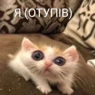 Sticker from виноградний