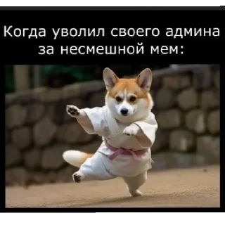 🤭 emoji Ю ноу? Telegram sticker 9 of 19