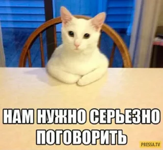 🤓 emoji Ю Telegram sticker 19 of 89
