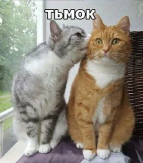 😘 emoji Ю Telegram sticker 21 of 89