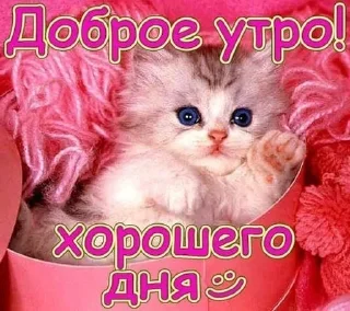 🌟 emoji одноклассники Telegram sticker 23 of 58