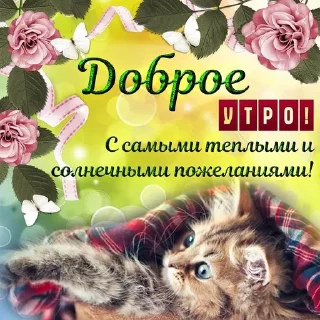 🌟 emoji одноклассники Telegram sticker 15 of 58