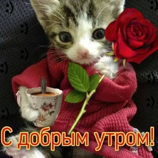 🌟 emoji одноклассники Telegram sticker 8 of 58
