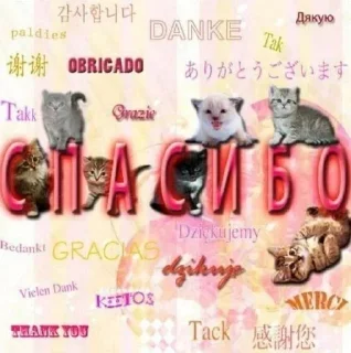 🌟 emoji одноклассники Telegram sticker 9 of 58
