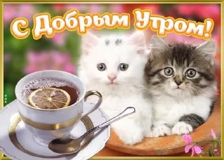 🌟 emoji одноклассники Telegram sticker 24 of 58