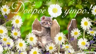 🌟 emoji одноклассники Telegram sticker 13 of 58