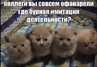 🌟 emoji Хард_нафиг_ворк Telegram sticker 5 of 117