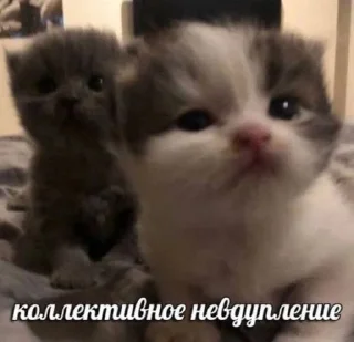 🌟 emoji Хард_нафиг_ворк Telegram sticker 19 of 117