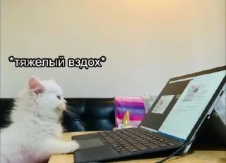 🌟 emoji Хард_нафиг_ворк Telegram sticker 12 of 117