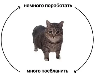 🌟 emoji Хард_нафиг_ворк Telegram sticker 16 of 117
