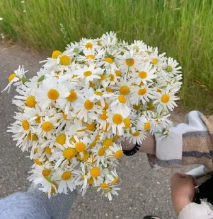 💐 emoji легенда 🚨 Telegram sticker 16 of 29