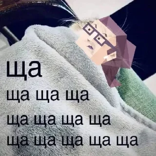 Sticker from 𝐭𝐡𝐞 𝐰𝐚𝐫𝐦𝐞𝐬𝐭 𝐦𝐚𝐜𝐡𝐢𝐧𝐞 * • . || I