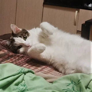 🌟 emoji Мистер Макс 😼 Telegram sticker 20 of 65