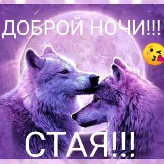 Sticker from Ахуенные мемы