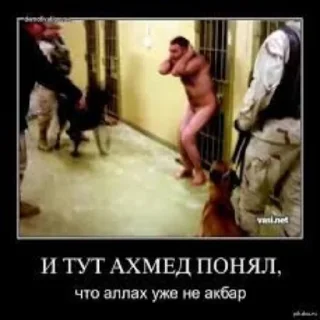 Sticker from смерть аллаху