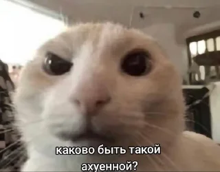 🕯️ emoji 👹от дашуньки Telegram sticker 23 of 46