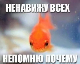 👹 emoji Пока не знаю. Telegram sticker 14 of 74