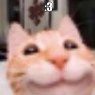☺️ emoji Пока не знаю. Telegram sticker 7 of 74