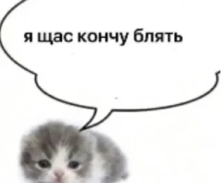 👻 emoji Пока не знаю. Telegram sticker 18 of 74