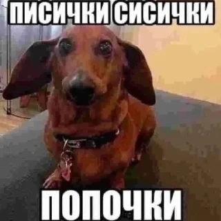 🔞 emoji Пока не знаю. Telegram sticker 15 of 74