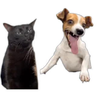 😄 emoji 🌚 @CloobHub • @Earth928B 🌝 Коты Cats Telegram sticker 14 of 35
