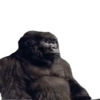 🦍 emoji 🌚 @CloobHub • @Earth928B 🌝 Коты Cats Telegram sticker 23 of 35