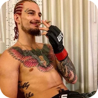 🔥 emoji Sean O'malley ➩ @Earth928B Telegram sticker 21 of 50