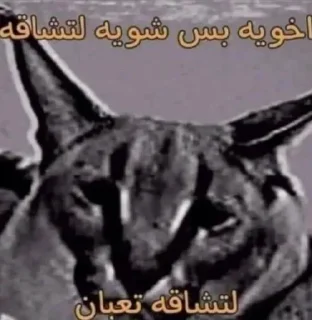 🗿 emoji محمد @SticZ_Bot • @aljoker_z_e Telegram sticker 15 of 105