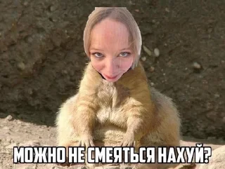 🙉 emoji лера чмо💓 Telegram sticker 9 of 19