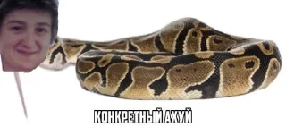 😍 emoji лера чмо💓 Telegram sticker 8 of 19