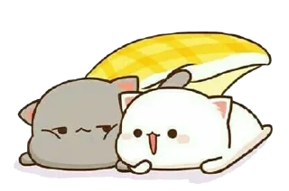 😉 emoji Peach and Goma by Vasim Telegram sticker 13 of 120
