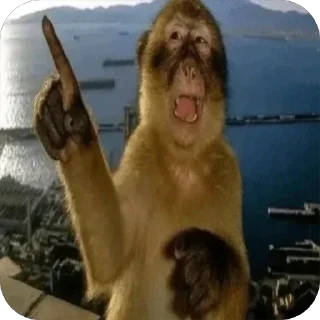 😟 emoji обезьянки на каждый день Telegram sticker 7 of 13