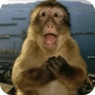 😱 emoji обезьянки на каждый день Telegram sticker 10 of 13