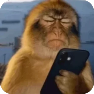 😒 emoji обезьянки на каждый день Telegram sticker 12 of 13