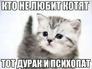😋 emoji котики от ангелины😶‍🌫 Telegram sticker 14 of 34