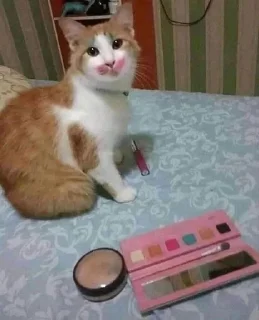 😍 emoji котики от ангелины😶‍🌫 Telegram sticker 9 of 34