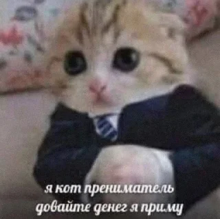 🤑 emoji котики от ангелины😶‍🌫 Telegram sticker 21 of 34