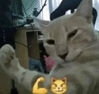 🌟 emoji котики Telegram sticker 5 of 80