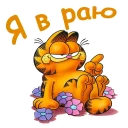 😍 emoji Гарфилд :: @animesticks Telegram sticker 21 of 52