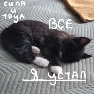 Sticker from Китик