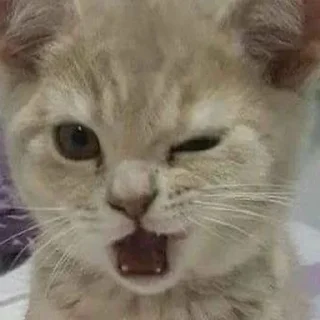 😉 emoji Китик Telegram sticker 16 of 32